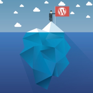 WordPress Foundation